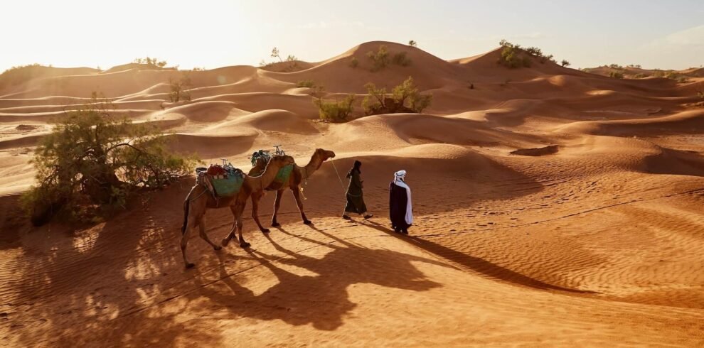 Dubai Red Dune Desert Safari