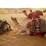 Sustainable Travel: Tips and Destinations for Eco-Friendly Explorations